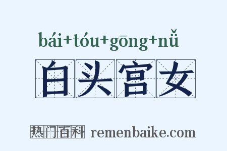 白头宫女是什么意思的图片